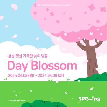 봄날 햇살 가득한 낮의 벚꽃 [Day Blossom]